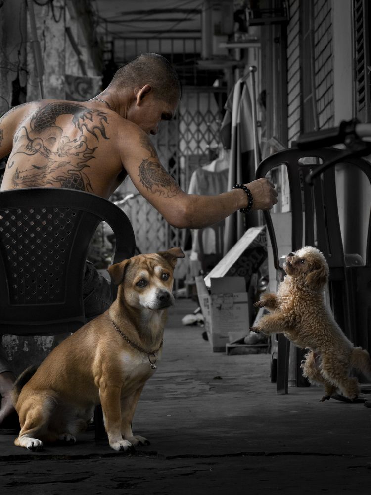 Photograph by Trung Nguyễn