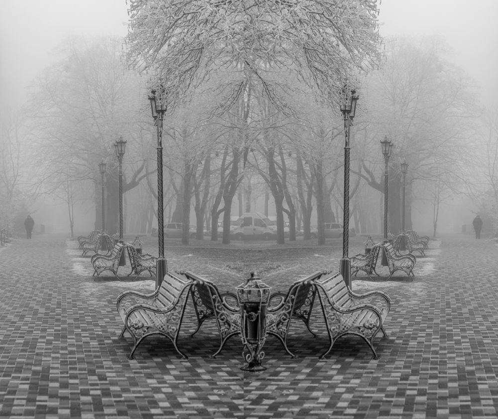 Photograph by 