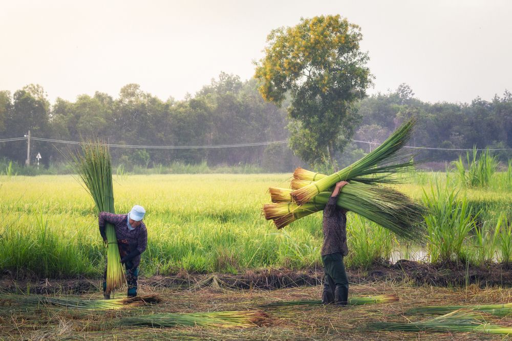 Photograph by Trung Nguyễn