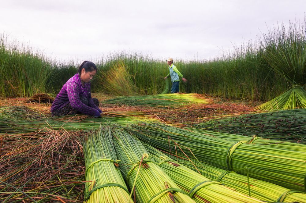 Photograph by Trung Nguyễn