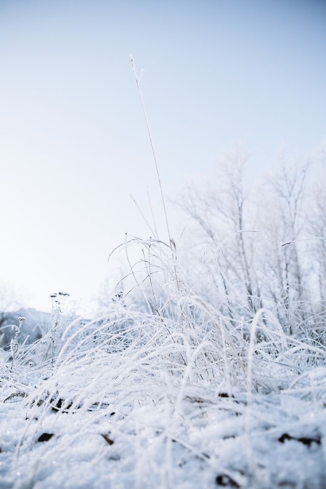 Photograph by Роман Маньков