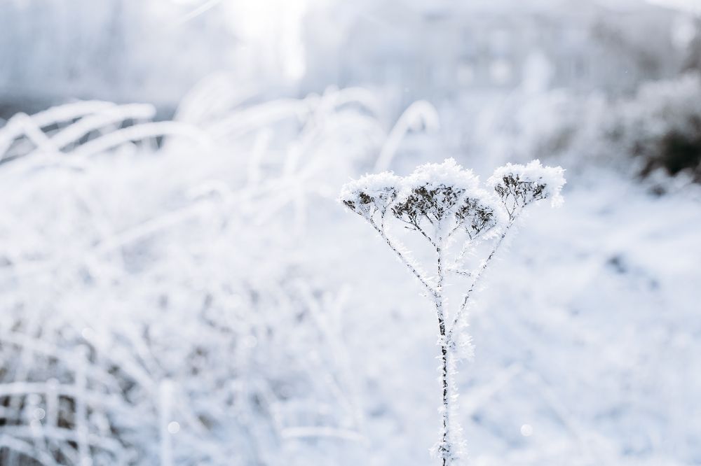 Photograph by Роман Маньков