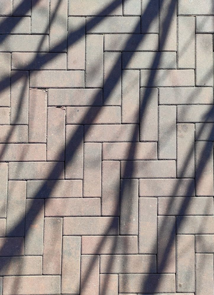 Photograph by Мария Прохорова