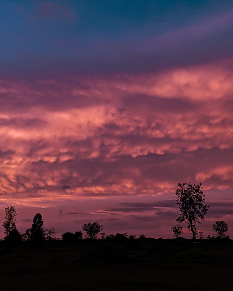 Photograph by Atul Shinde