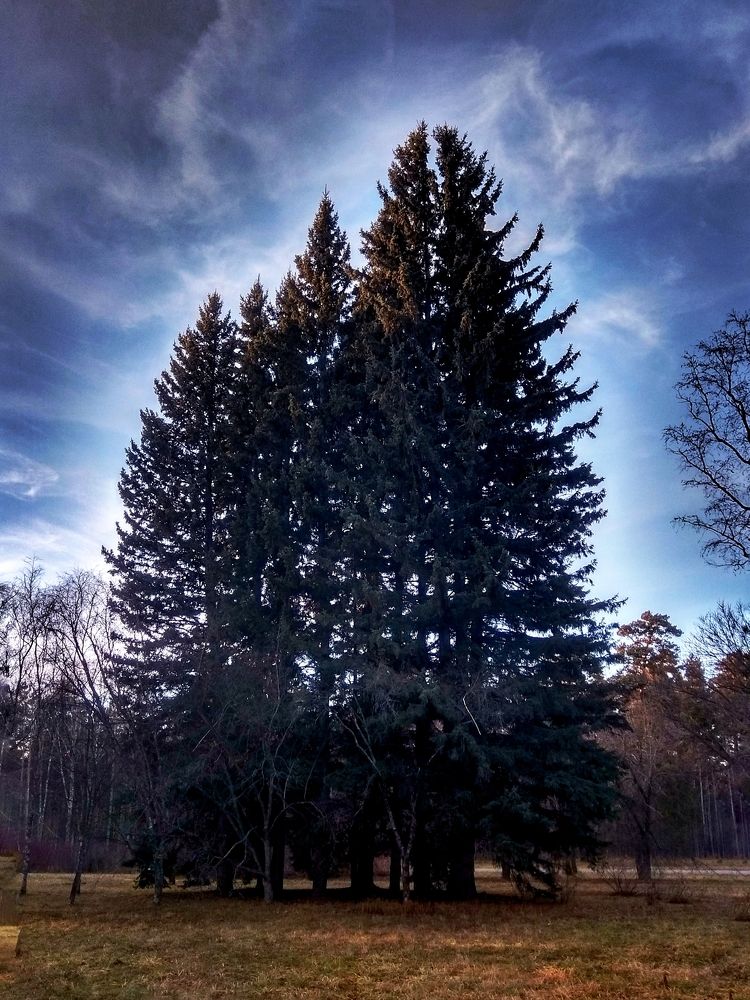 Photograph by Ольга Малина