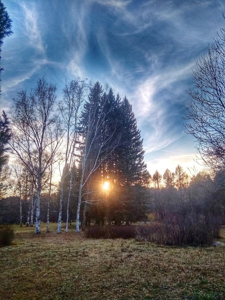 Photograph by Ольга Малина