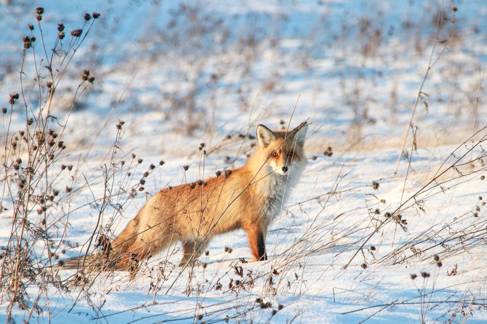 Photograph by Наталья Трифуз