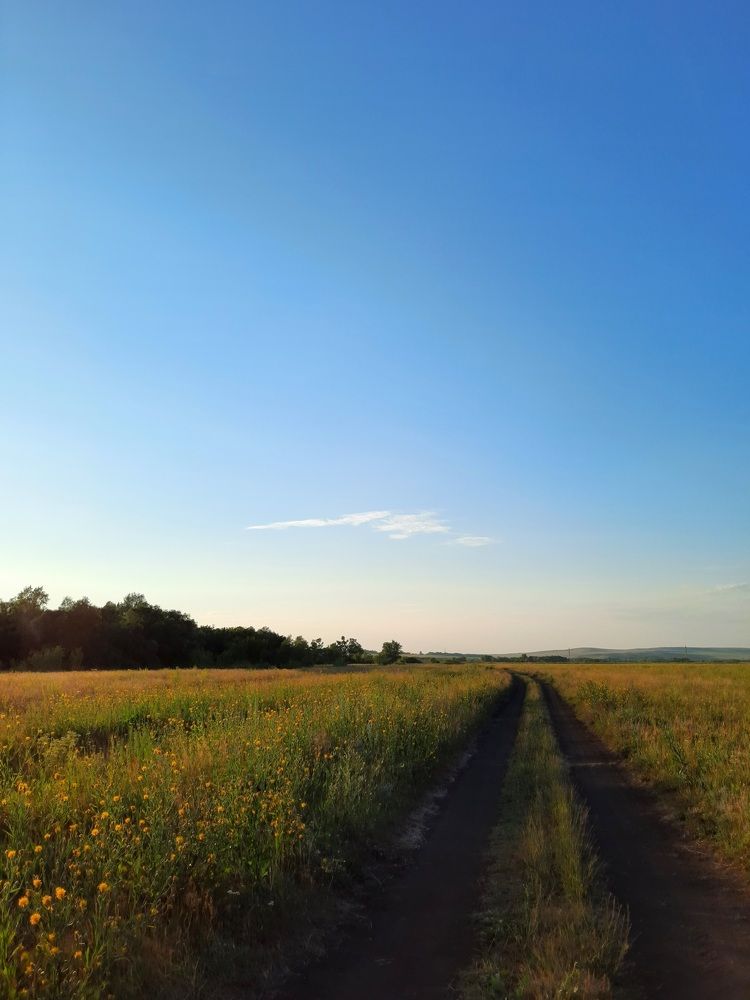 Photograph by Анжелика Сороколетова