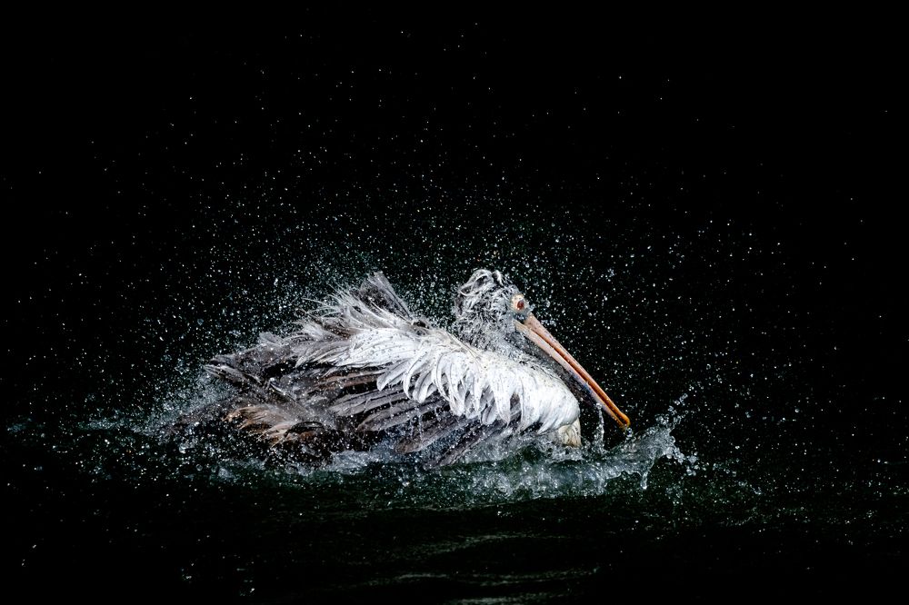 Photograph by  Ahamed Jazif