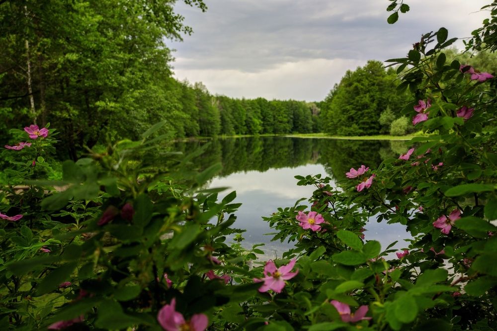 Photograph by Сергей Горбунов