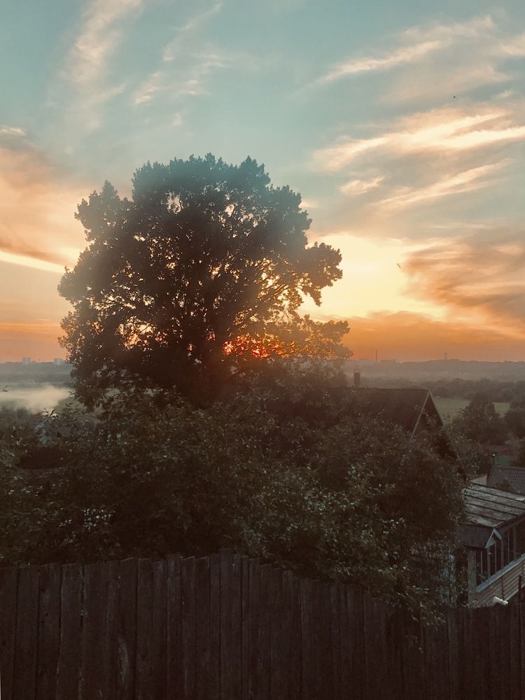 Photograph by Елена Никитенко