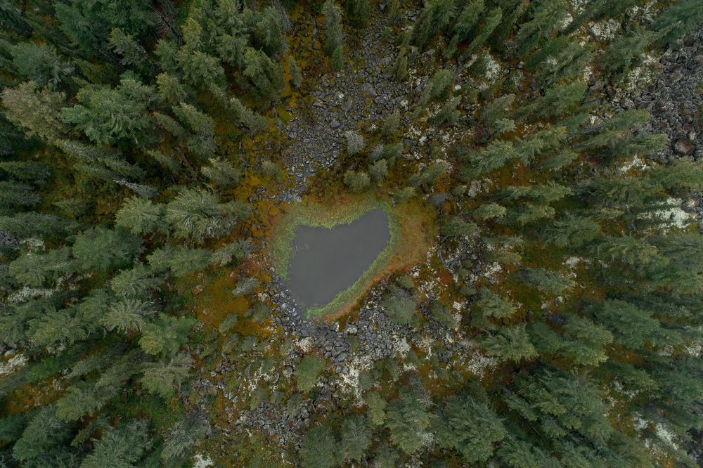 Photograph by Александр Нерозя