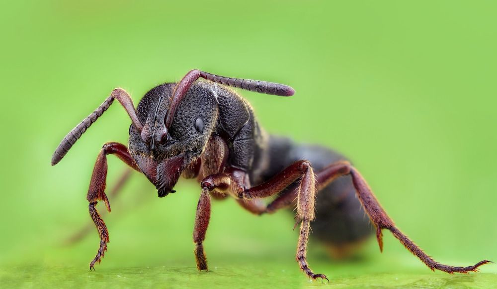 Фотография автора Tran Tuan