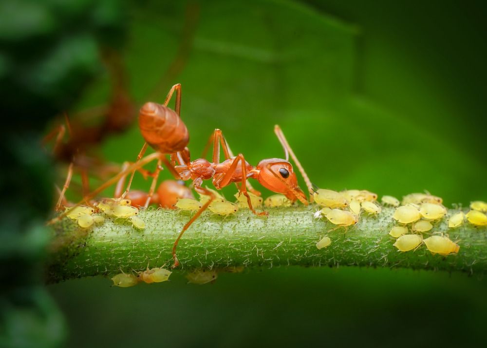 Фотография автора Tran Tuan