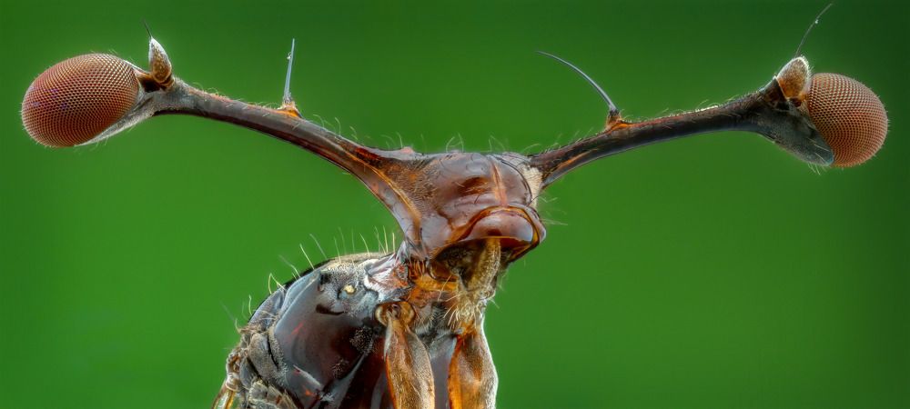 Фотография автора Tran Tuan