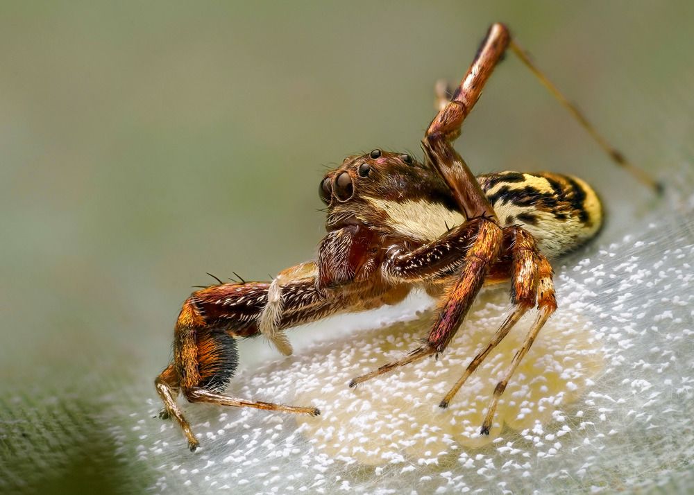 Фотография автора Tran Tuan