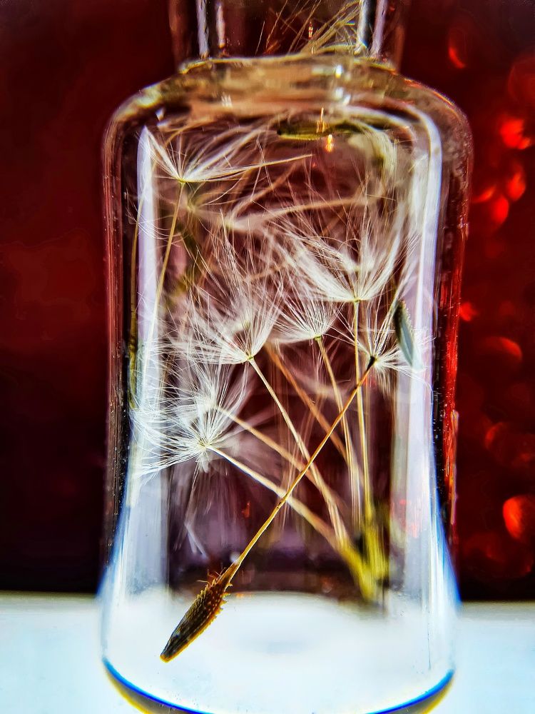 Photograph by Ольга Веселова