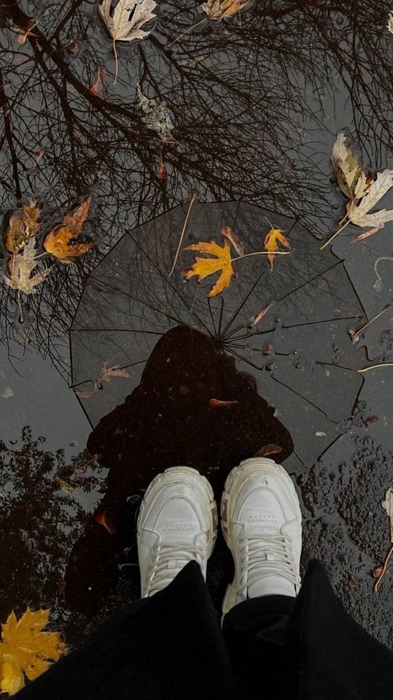 Фотография автора Лукашенко Ольга