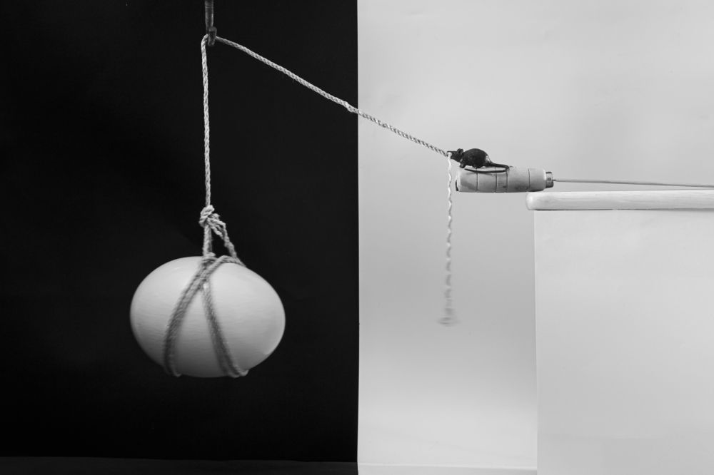 Photograph by NGUYEN HAI