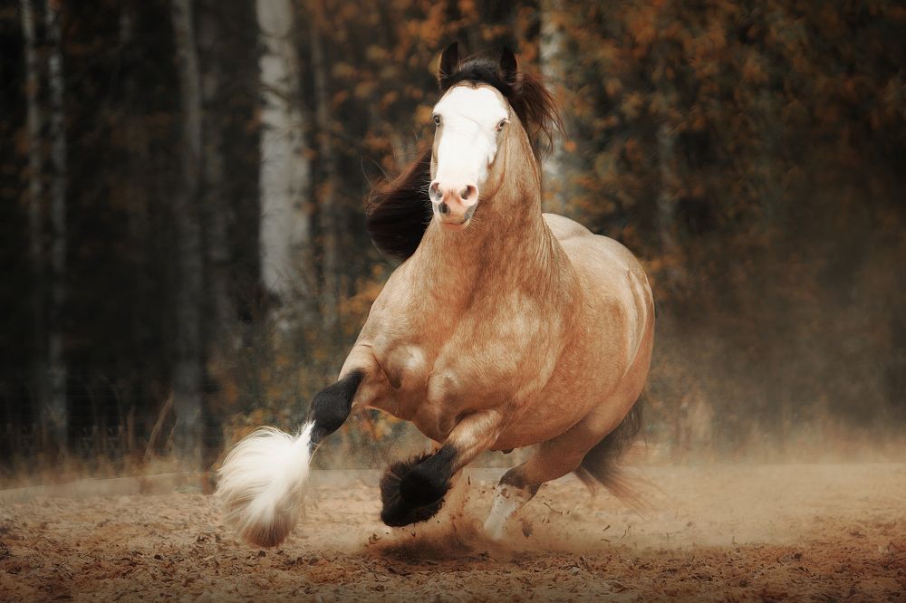 Photograph by Дарья Ералева