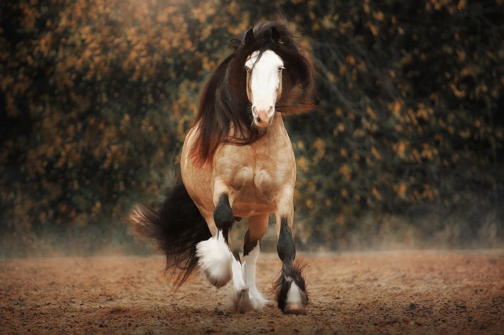 Photograph by Дарья Ералева