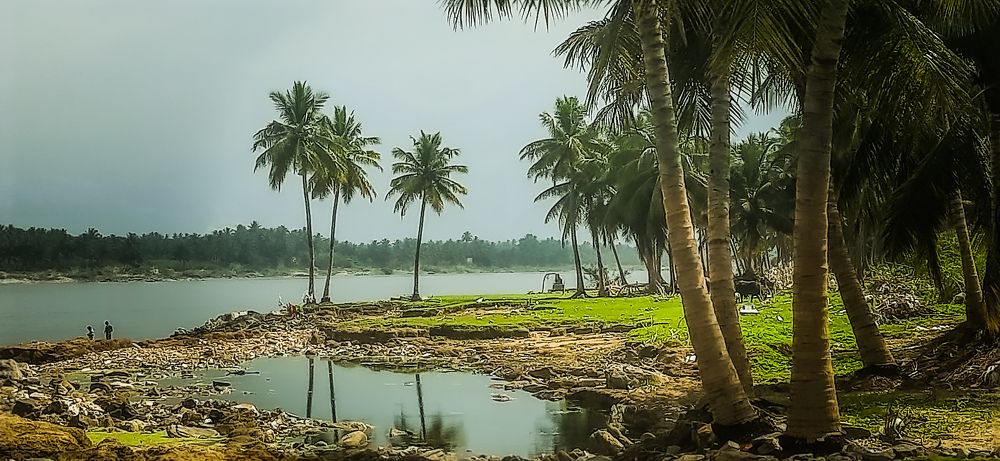 Photograph by Praveen kumar Sampath