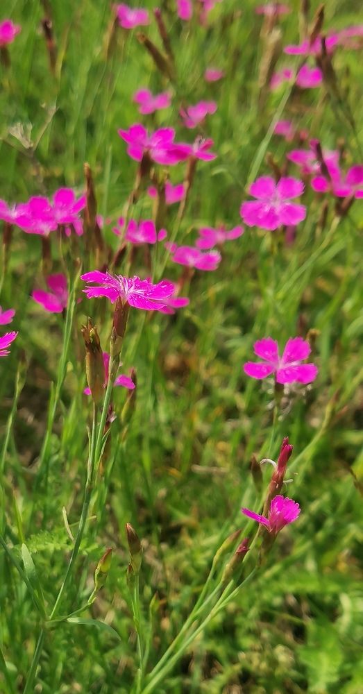 Photograph by Ирина Аверьянова