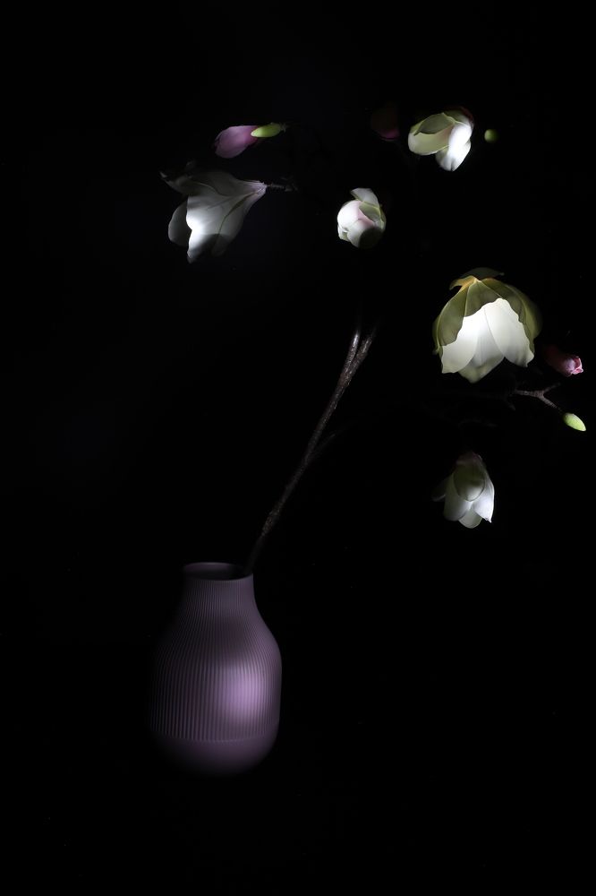 Photograph by Оксана Соколова