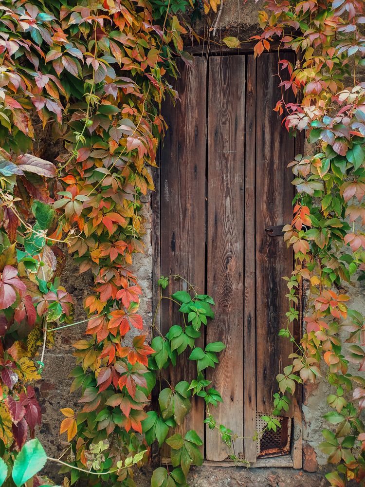 Photograph by Ирина Половцева