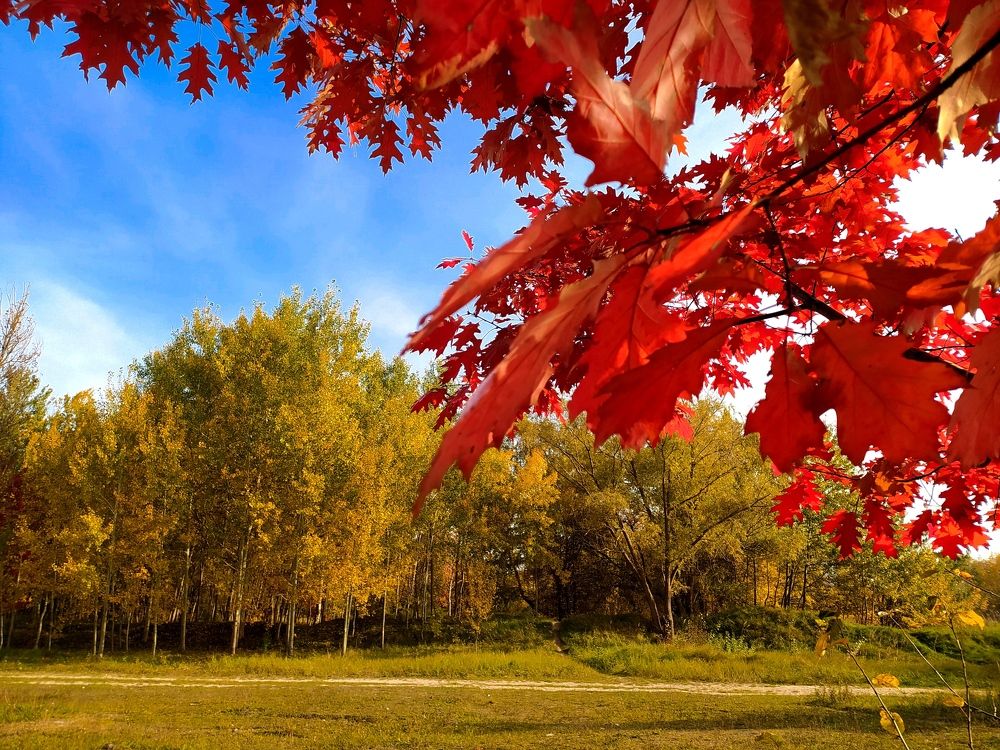 Photograph by Ирина Половцева