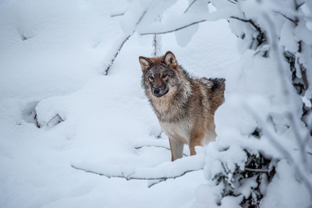 Photograph by Павел Невенчаный