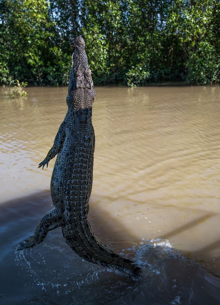 Фотография автора Дмитрий Дроздов