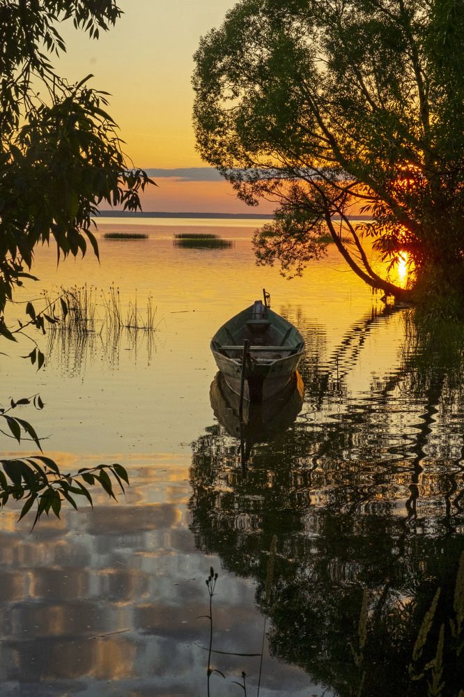 Photograph by Елена Маракулина