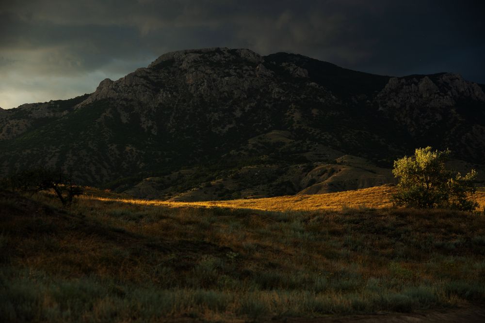 Фотография автора Екатерина Вострикова