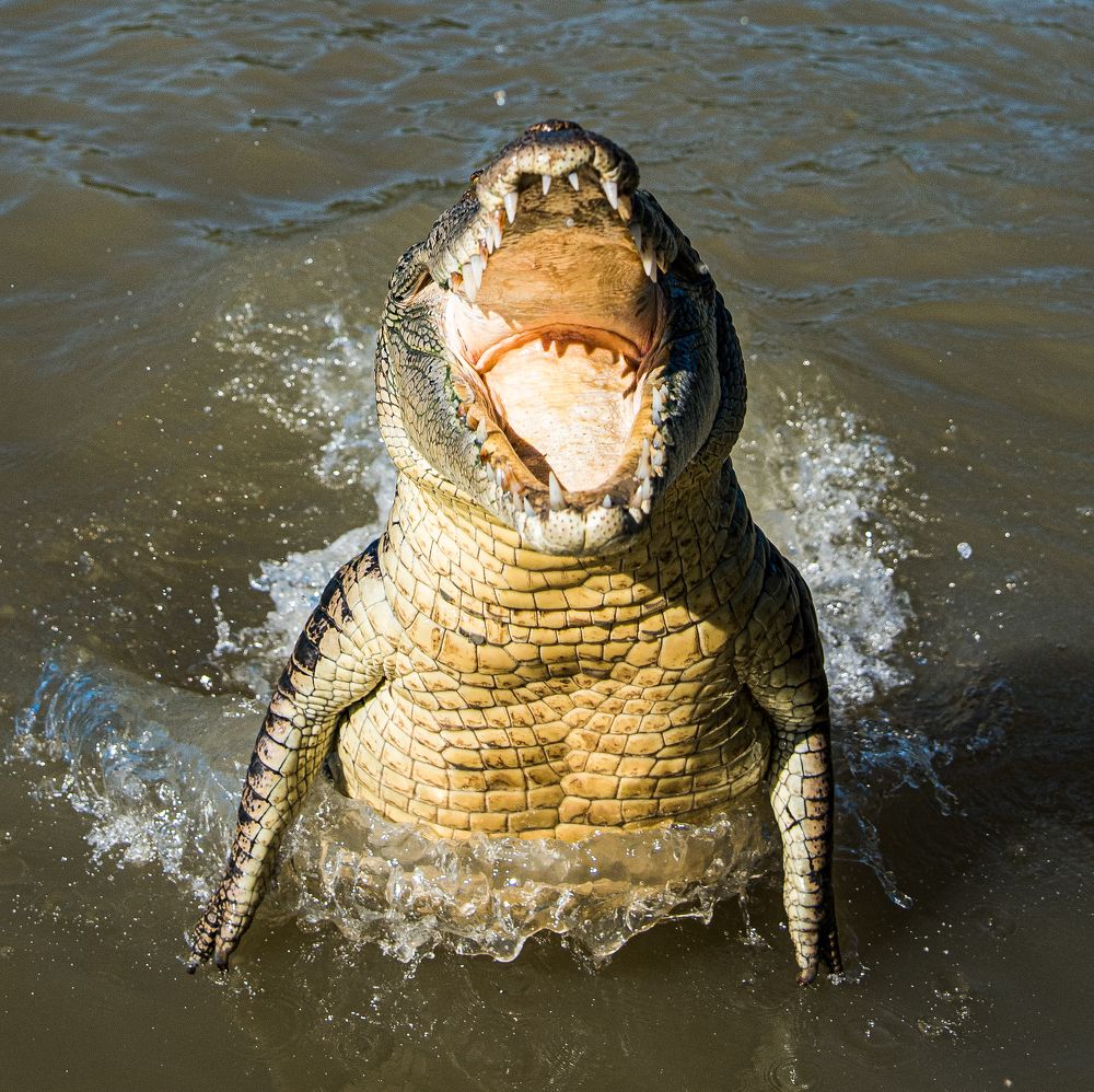 Фотография автора Дмитрий Дроздов