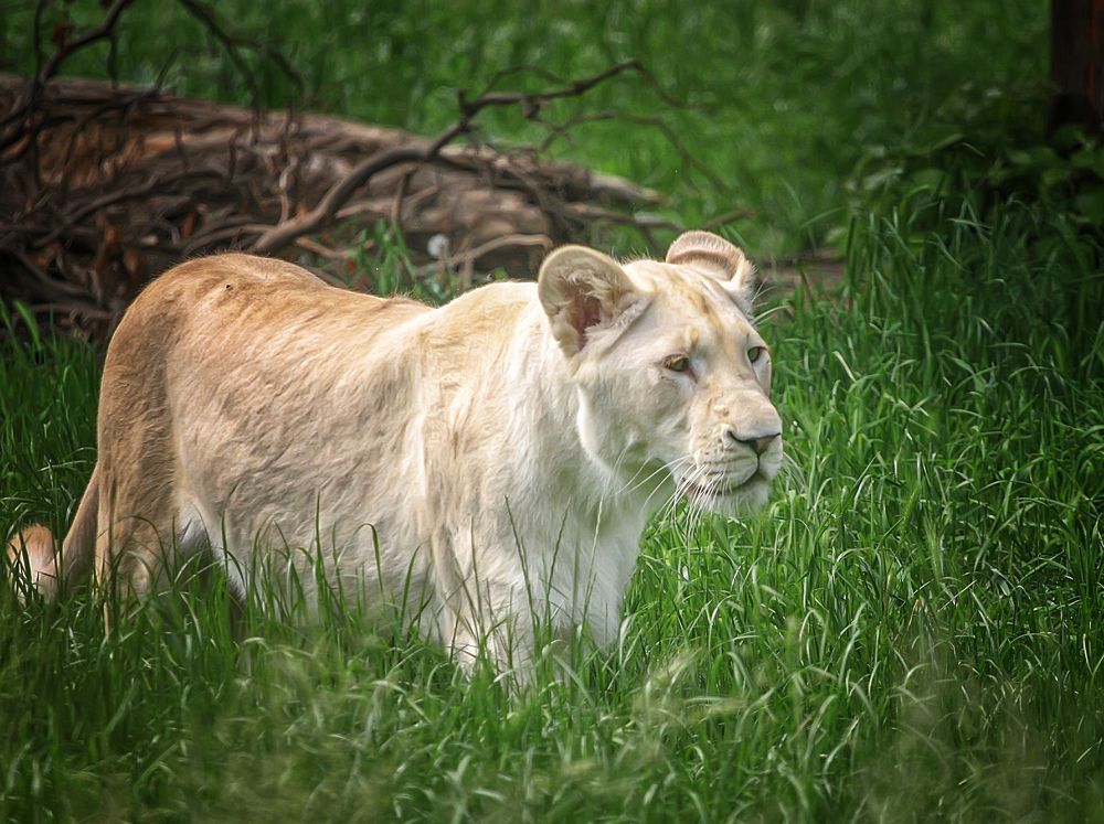 Photograph by Игорь