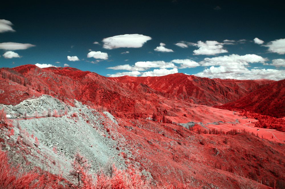 Фотография автора Александр Щусь