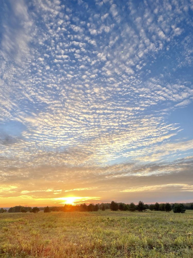 Photograph by Николай