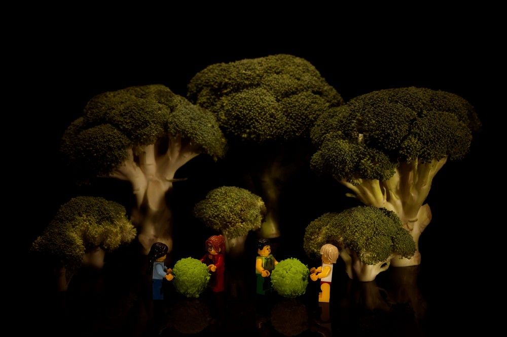 Photograph by Илья Пономарев