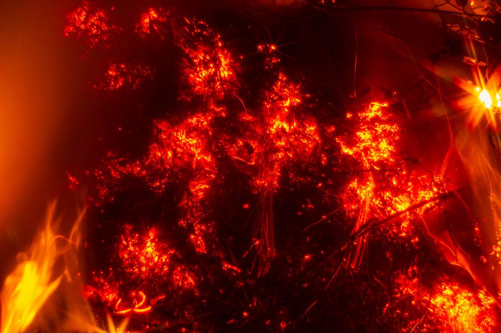 Photograph by Редько Александр