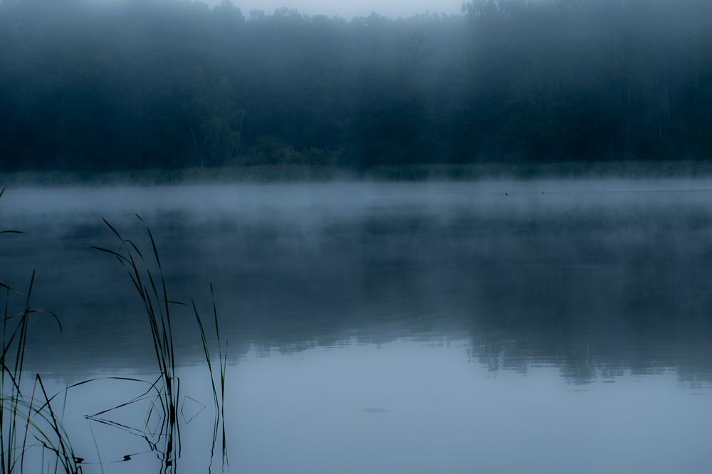 Photograph by Светлана Антонова