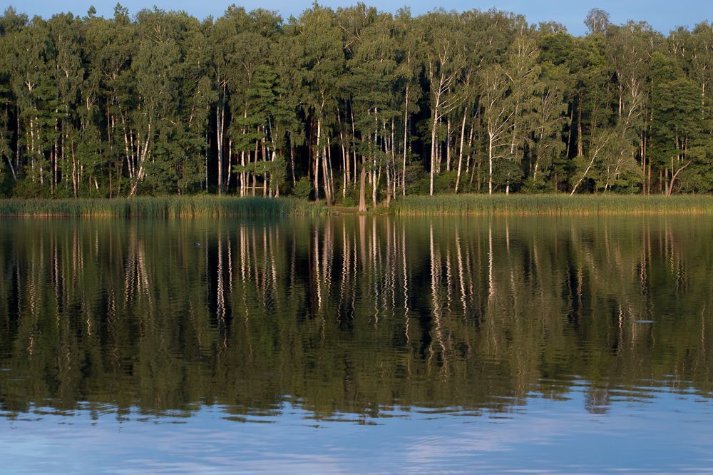 Photograph by Светлана Антонова