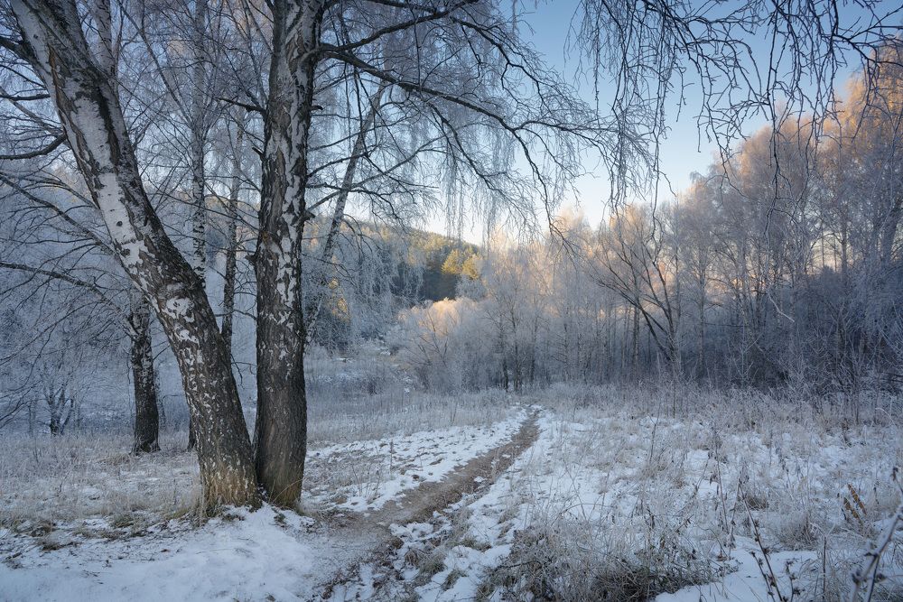 Photograph by Григорий Шалик