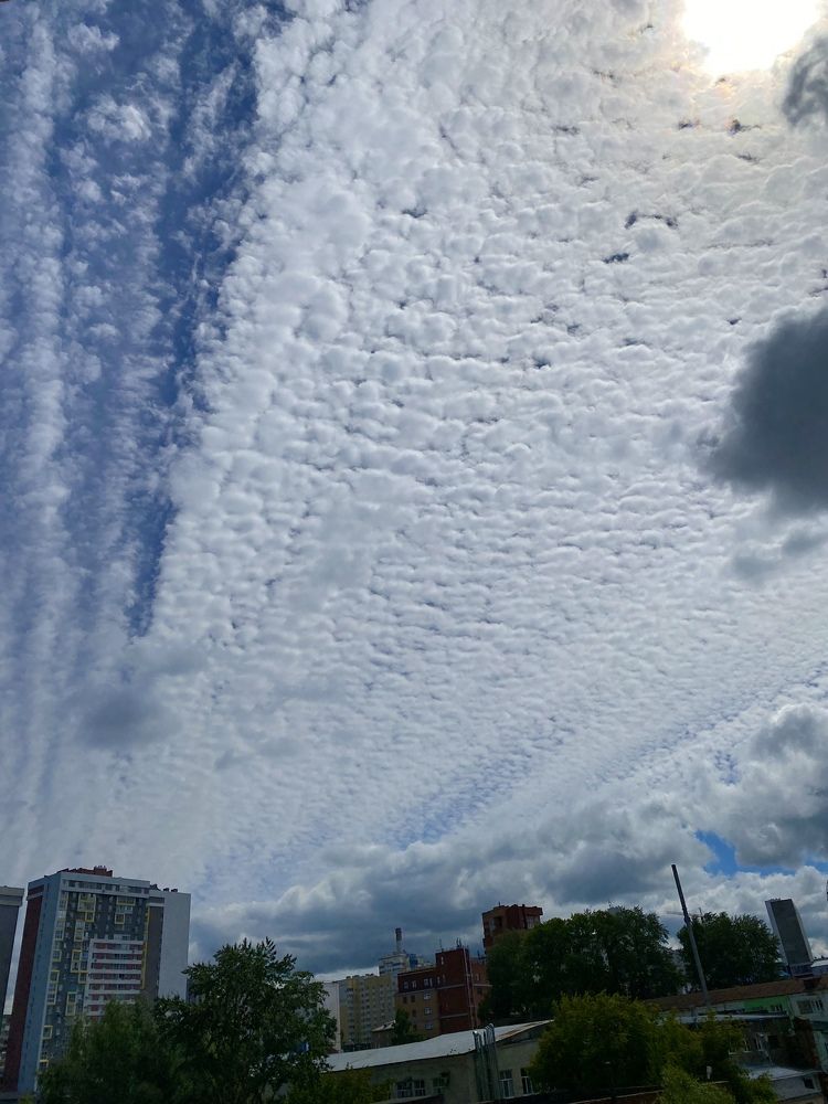 Photograph by Есения  Марванова