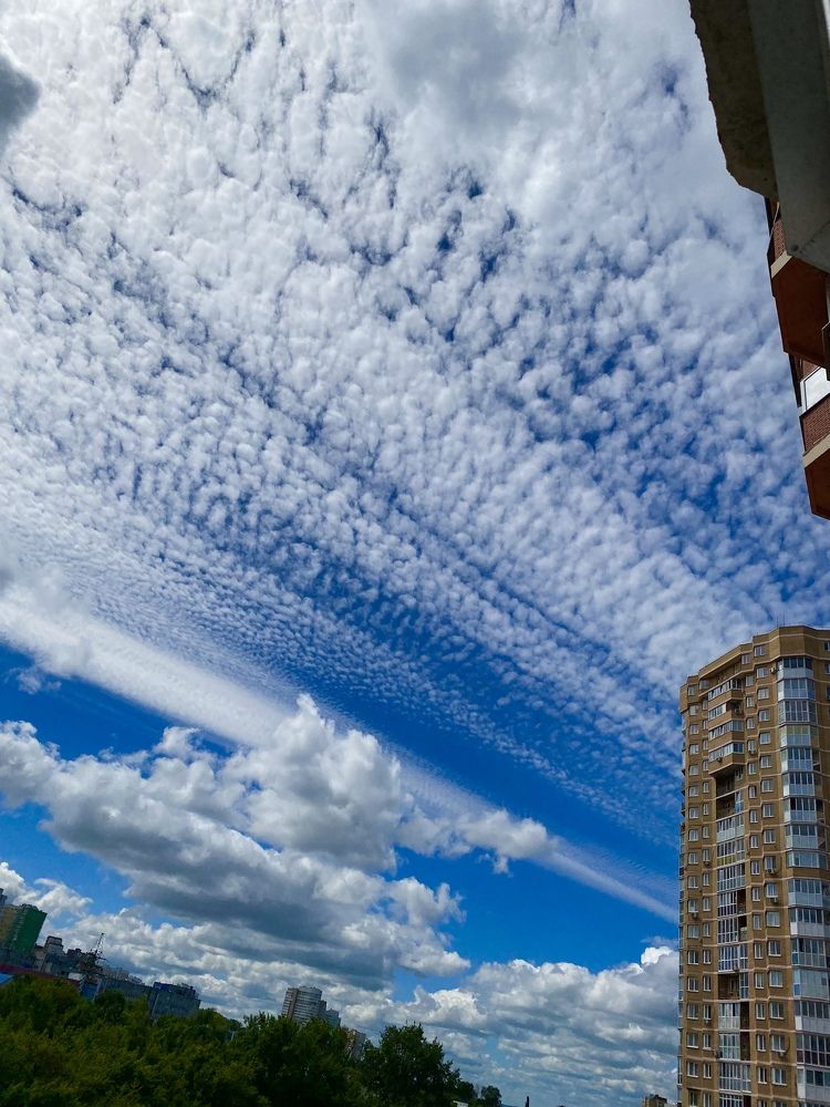 Photograph by Есения  Марванова