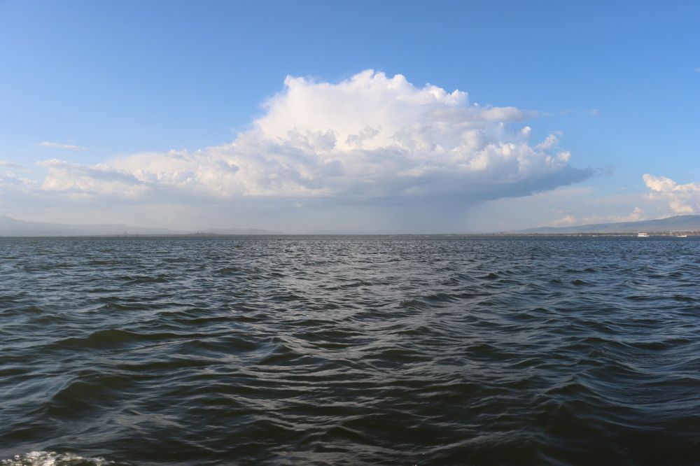 Фотография автора Sugandha