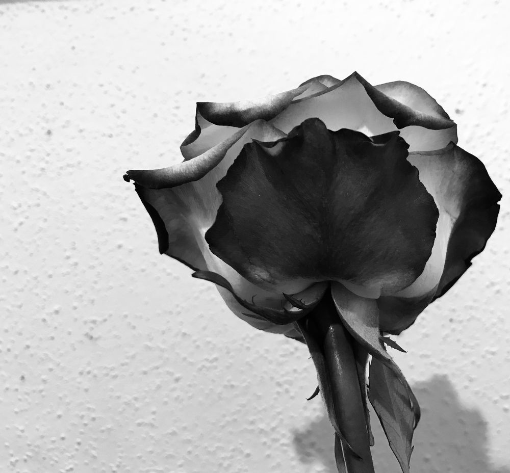 Photograph by Мадина Криштопа