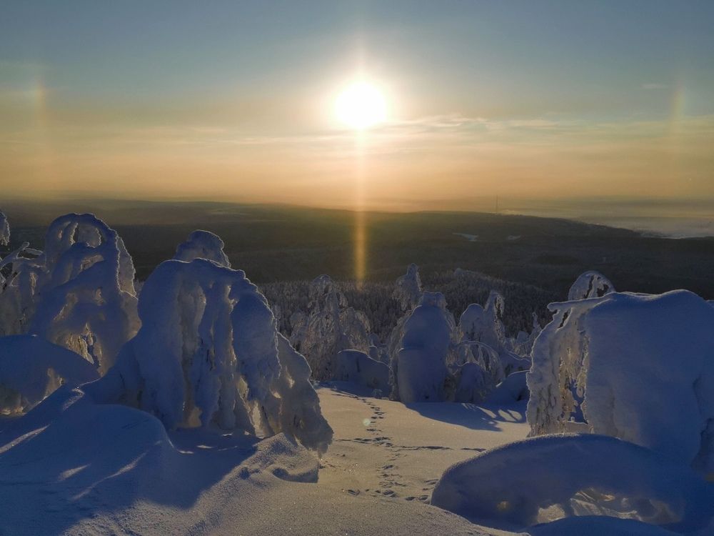 Фотография автора Светлана Зимина