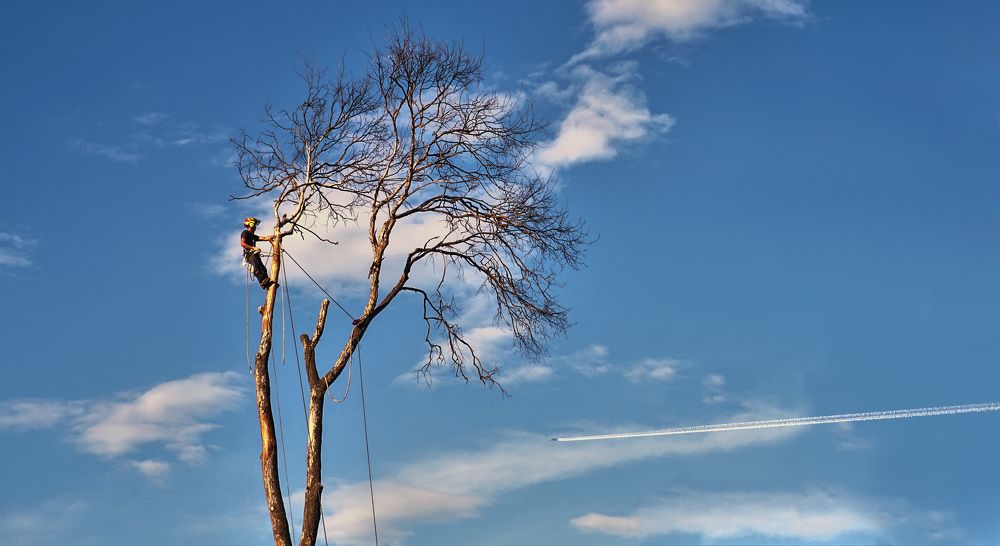 Photograph by Светлана Иванова