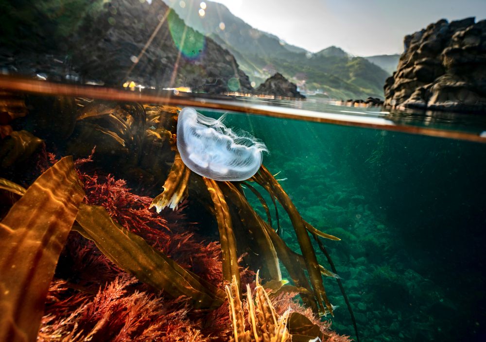 В ЛУЧАХ МОНЕРОНА